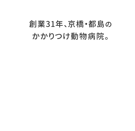 創業31年、京橋・都島のかかりつけ動物病院。